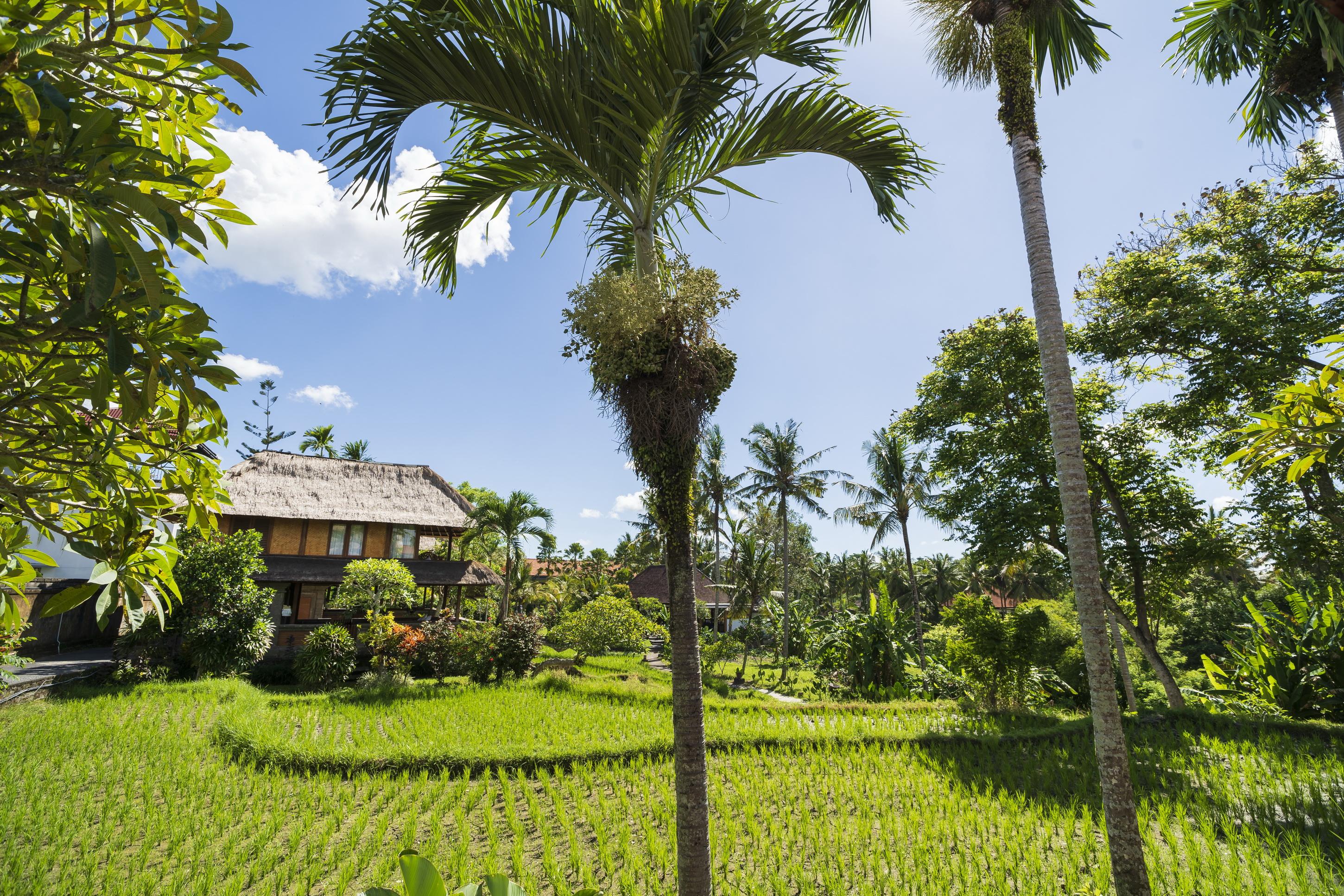 Agung Raka Villa Ubud Eksteriør bilde