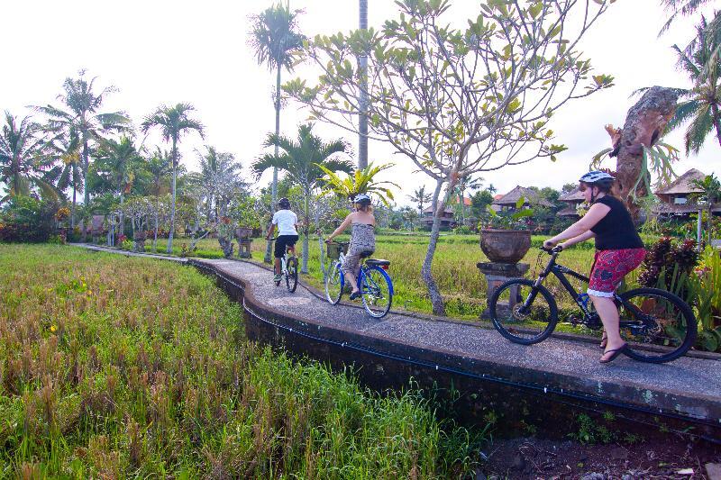 Agung Raka Villa Ubud Eksteriør bilde