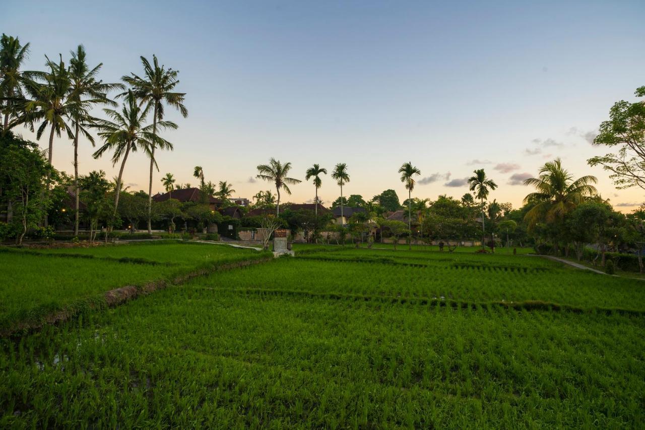 Agung Raka Villa Ubud Eksteriør bilde